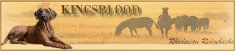 Kingsblood_Banner[1]